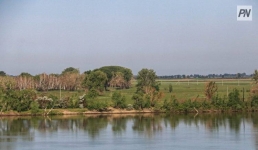 «Зелёный» пикник организуют в Павлодаре