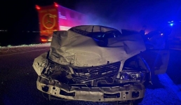 Иномарка врезалась в лошадей в пригороде Павлодара