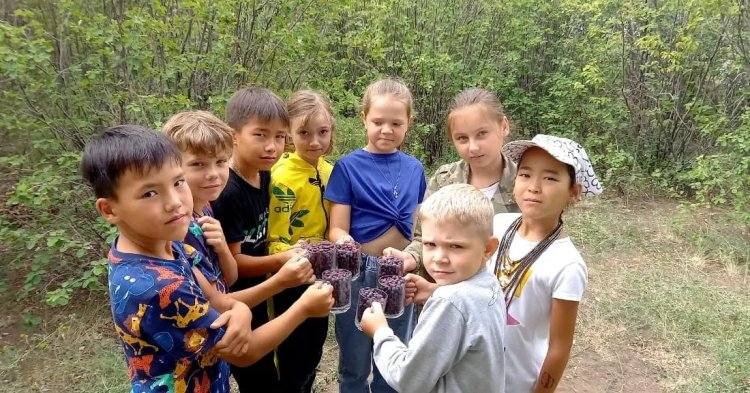 В павлодарской школе создали сад ради полезных обедов