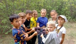 В павлодарской школе создали сад ради полезных обедов