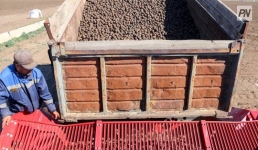 В Павлодарской области смогут хранить больше овощей