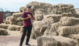 Овечки на выгуле: как семья из Павлодарского района исполнила мечту