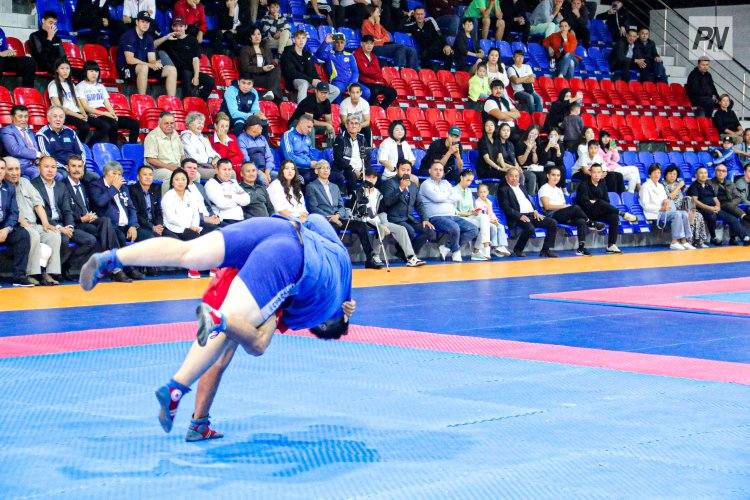 Павлодарские полицейские применили безоружную систему защиты