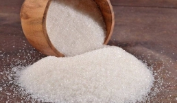 Один в Польше, другой в Аксу: почему ещё не производят павлодарский сахар