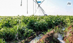 Ертіс өңірінде суармалы жерлердің басым бөлігі Павлодар ауданына тиесілі