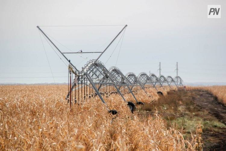 Павлодар облысында алқаптарды суару үшін электр және сумен жабдықтау желілері салынады