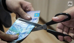 Павлодарлық қоғам белсендісі: Жаңа жүйе бюджетті үнемдеуге мүмкіндік береді