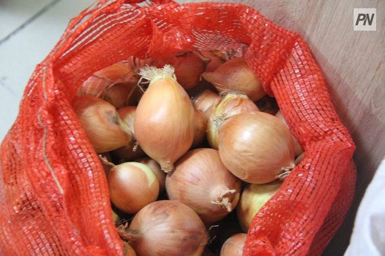 Павлодар облысында пияз арзандады