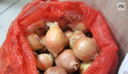 Павлодар облысында пияз арзандады