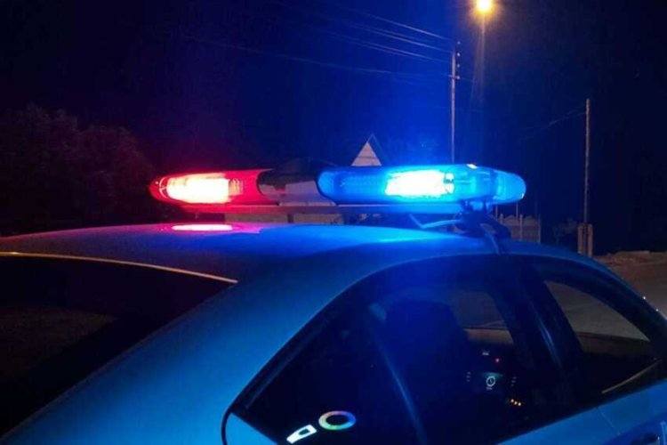 Павлодарда полицейлер жол үстіндегі балаларды бақылауды күшейтті