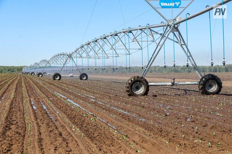 Павлодар облысында алқаптарды сумен жабдықтау желілері жүргізіледі