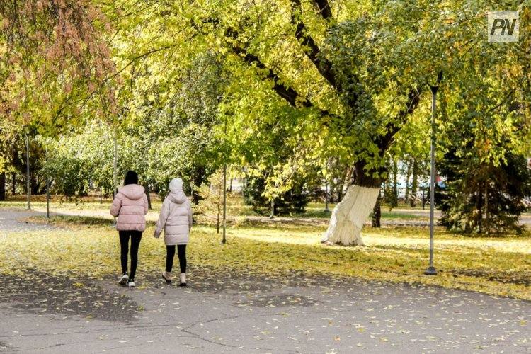 Туманную неделю спрогнозировали в Павлодарской области