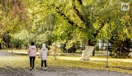 Туманную неделю спрогнозировали в Павлодарской области