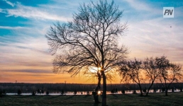 Павлодарские эковолонтёры очистят памятник