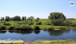 Павлодар присоединится ко Всемирному дню чистоты