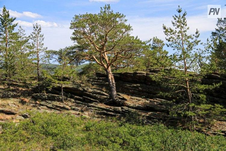 Павлодарская молодёжь приведёт в порядок национальный парк