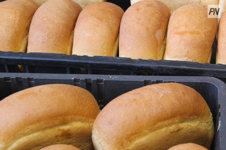 Скажется ли засуха на нехватке хлеба в Павлодарской области