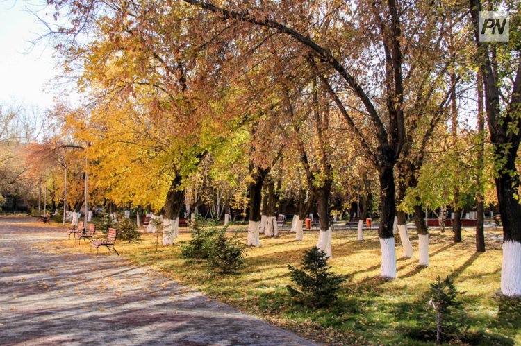 Неделю тепла спрогнозировали в Павлодарской области