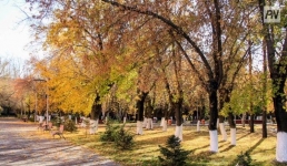 Неделю тепла спрогнозировали в Павлодарской области