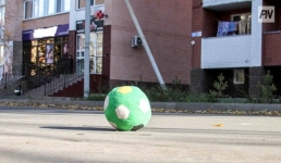 Павлодарского водителя наказали за проезд по тротуару