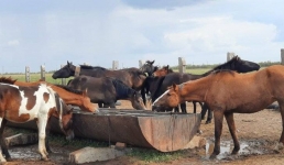 «С господдержкой – легко!»: как павлодарский металлург стал бизнесменом