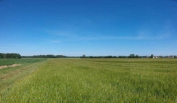 Коррупционные риски изучили павлодарские общественники