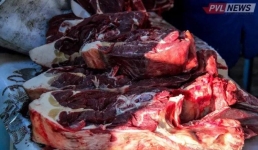 Павлодарцев пригласили на сельхозярмарку 23 сентября