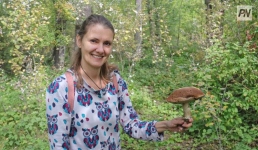Грибная охота: советы павлодарского грибника
