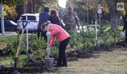 Парки и скверы Павлодара смогут сделать более зелёными