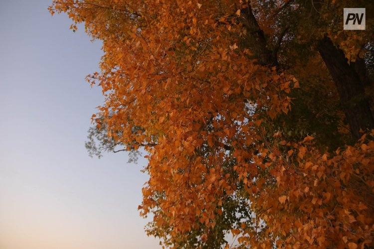 Конец сентября в Павлодаре будет тёплым