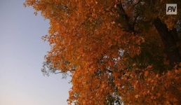 Конец сентября в Павлодаре будет тёплым