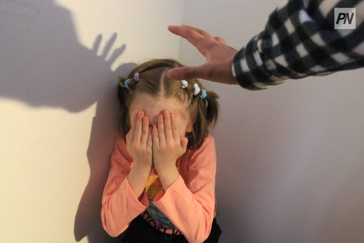 Дело об изнасиловании ребенка поступило в суд Павлодара