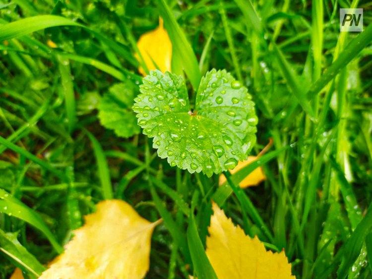 26 сентября в Павлодарской области будет небольшой дождь