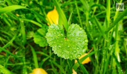 26 сентября в Павлодарской области будет небольшой дождь