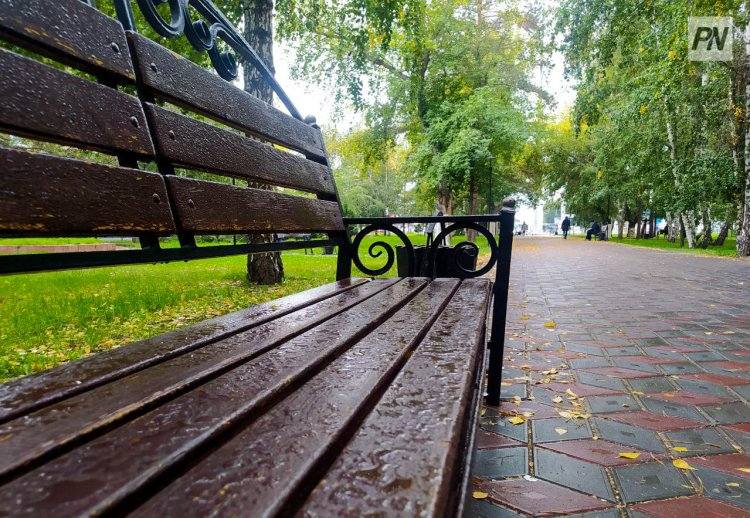 Дождь и туман: погода в Павлодарской области 27 сентября