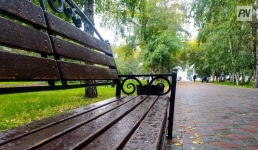 Дождь и туман: погода в Павлодарской области 27 сентября