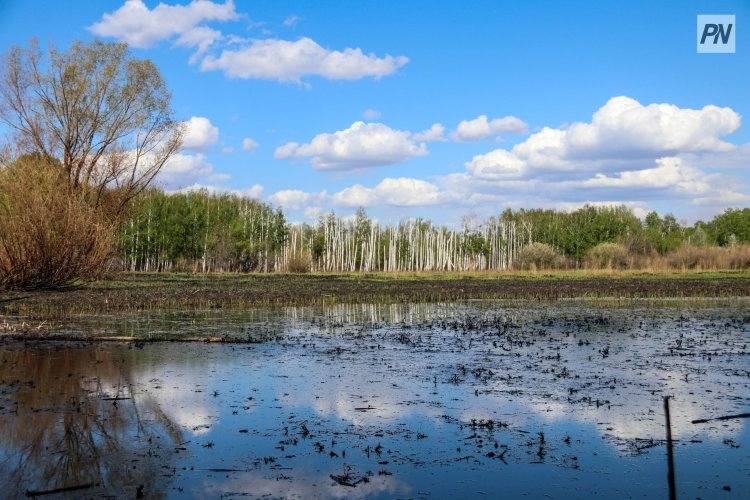 Небольшой дождь ожидает павлодарцев в последний день сентября