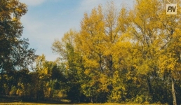 Первая неделя октября в Павлодарской области будет сухой