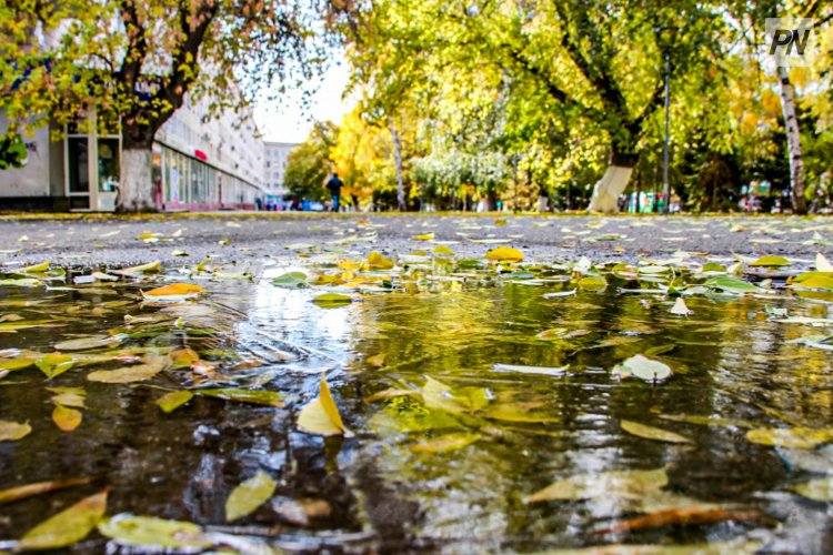 3 октября в Павлодарской области будет туманно