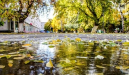 3 октября в Павлодарской области будет туманно