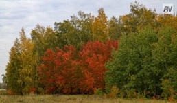Туманно будет в Павлодарской области 5 октября