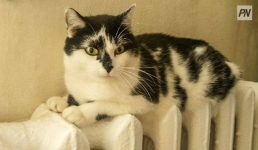 Павлодарцы стали менее ответственно готовиться к зиме