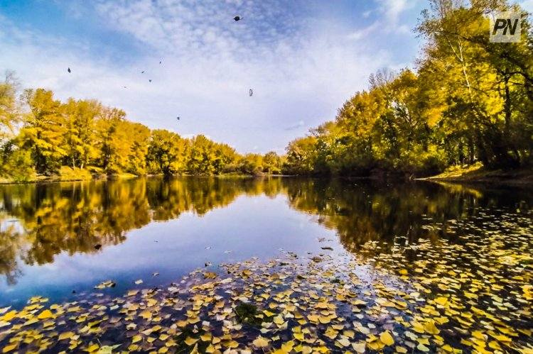 6 октября в Павлодарской области будет малооблачно