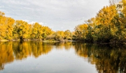 7 октября в Павлодарской области будет без осадков