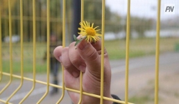 В Павлодаре пройдёт фестиваль для особых молодых людей