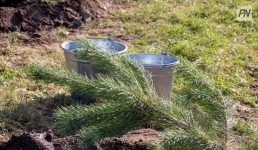 Парк мечты создадут в Павлодарском районе