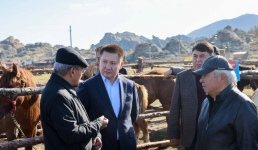 Проблемы коневодства обсудили в Павлодарской области