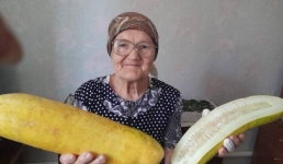 В селе Павлодарского района вырастили огурцы-гиганты