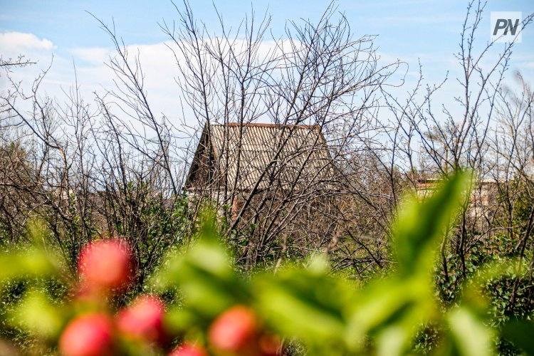 В Павлодаре поймали дачного вора