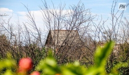 В Павлодаре поймали дачного вора